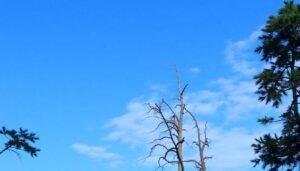 5 Reasons Saturday Skin Skincare Will Transform Your Routine