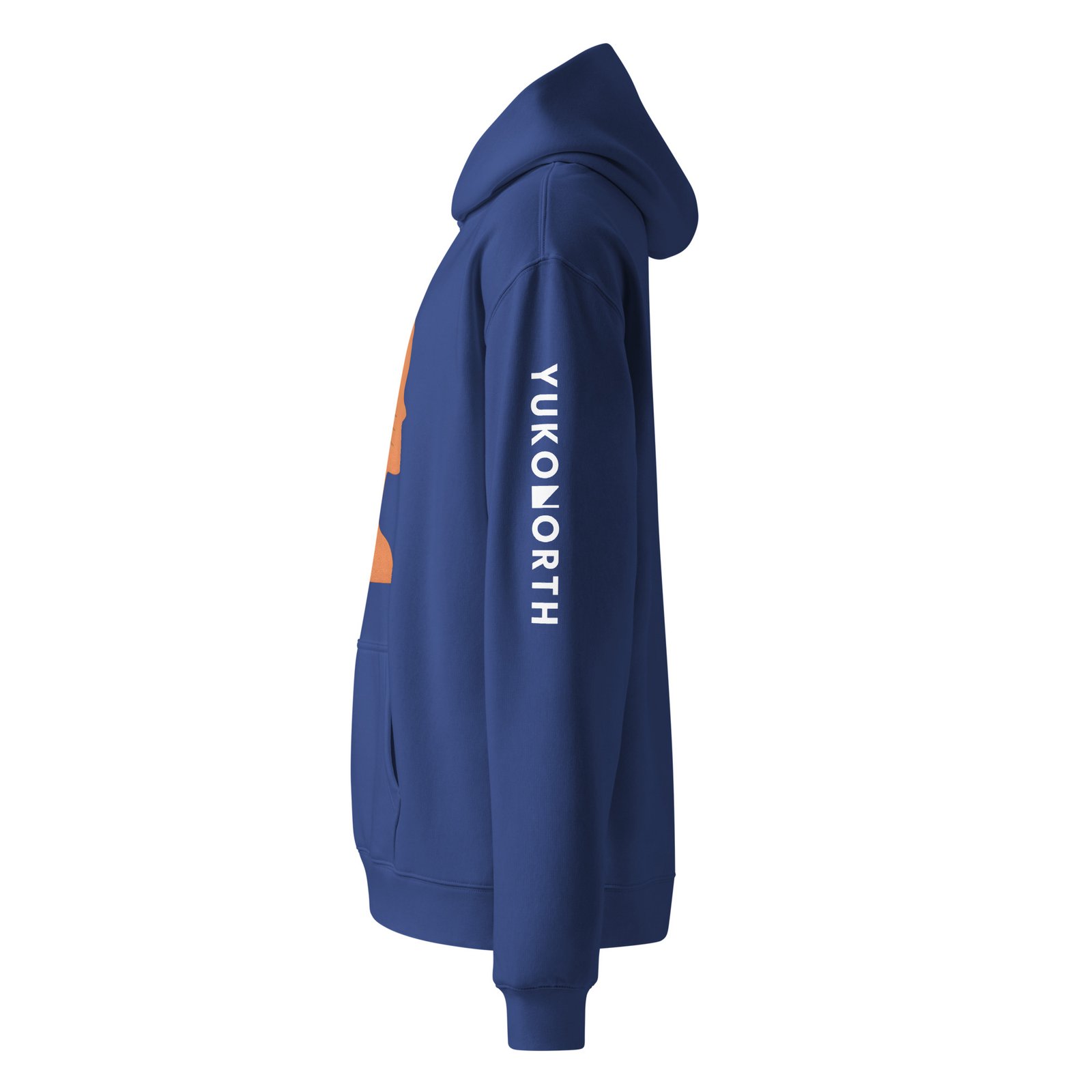 unisex-oversized-hoodie-cobalt-left-681068df10bd0.jpg
